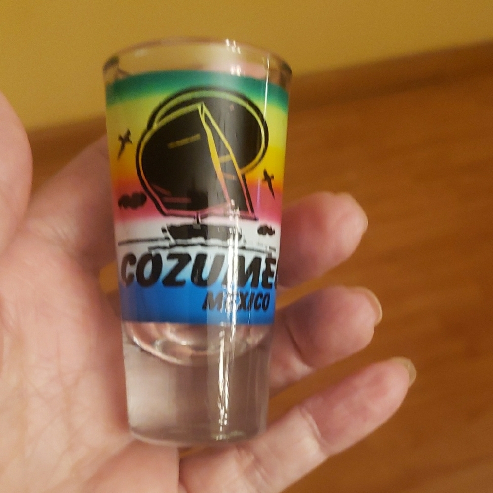 Cozumel Mexico Souvenir Shot Glass Big Price